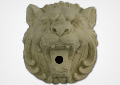 Lion-Bianco