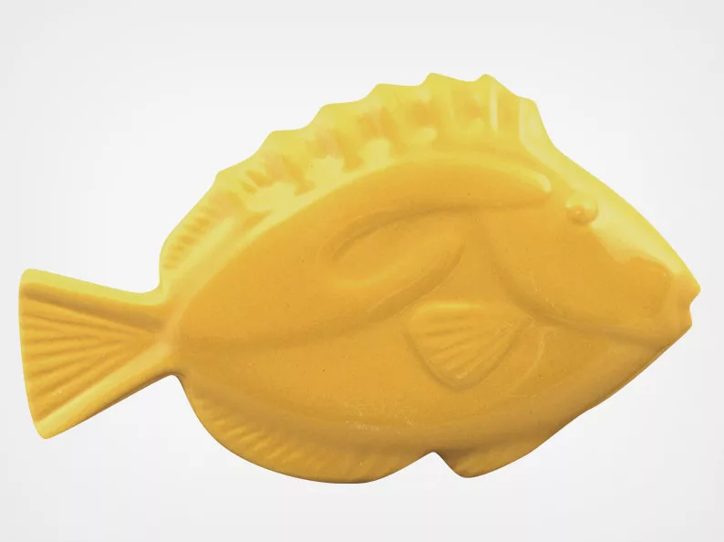 Fish – Sand – 5×3