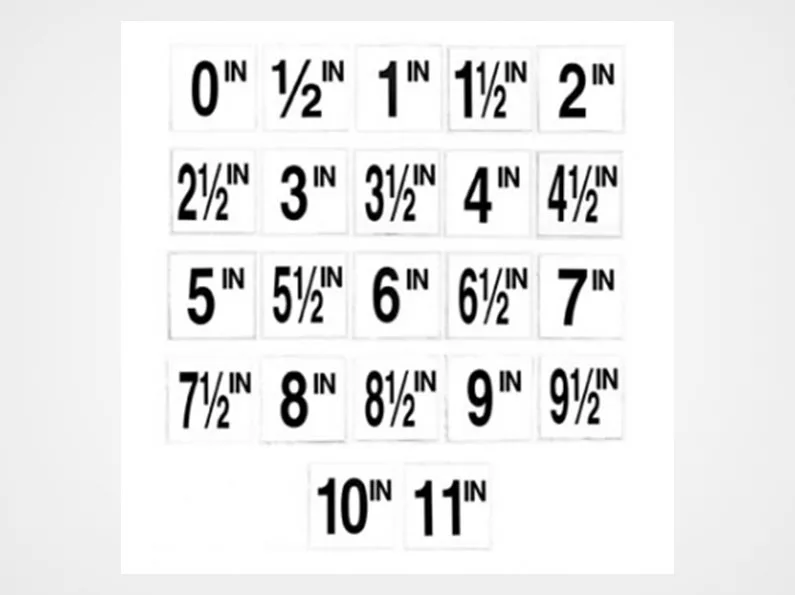 English Numbers Inches