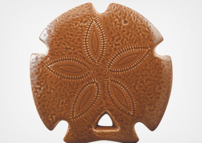 Sand Dollar – Brown – 5×5