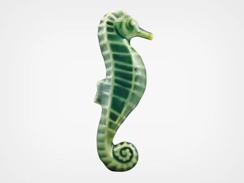 Seahorse – Teal – 2×5