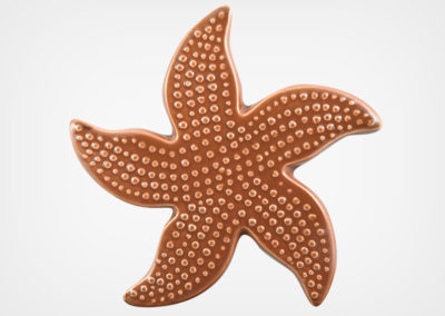 Starfish Spotted – Brown – 5×5