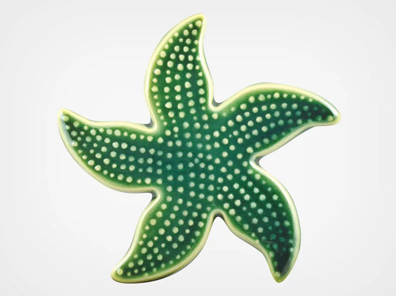 Starfish Spotted – Teal – 5×5