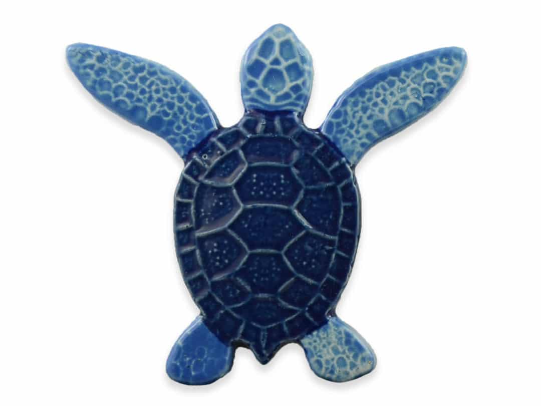 Turtle Both Up – Blue – 5×5