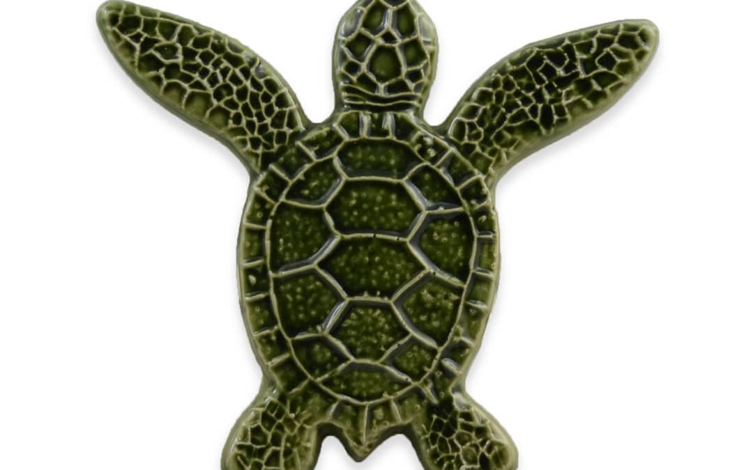 Turtle Both Up – Green – 5×5