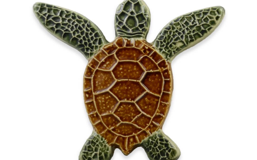 Turtle Both Up – Natural – 5×5