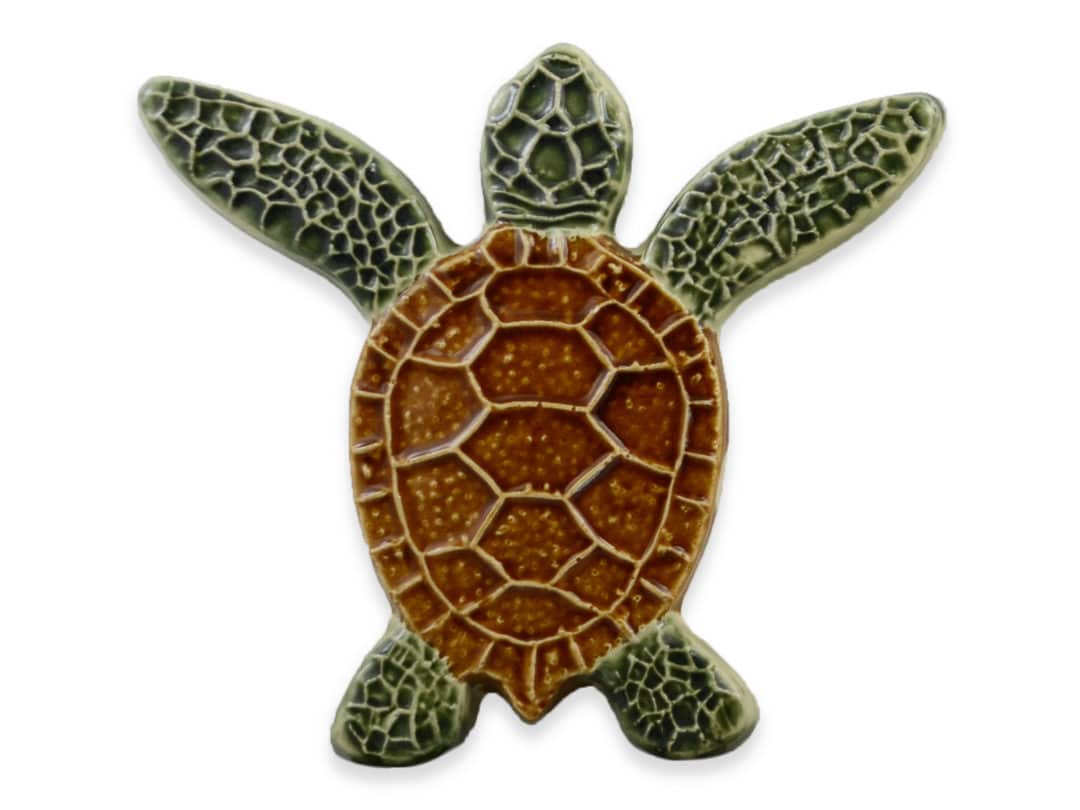 Turtle Both Up – Natural – 5×5