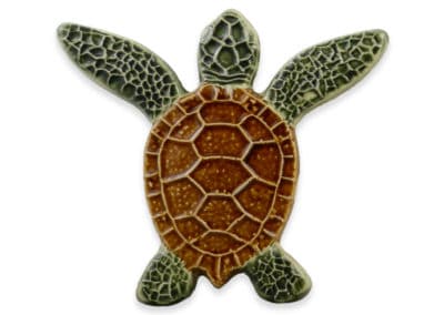 Turtle Both Up – Natural – 5×5