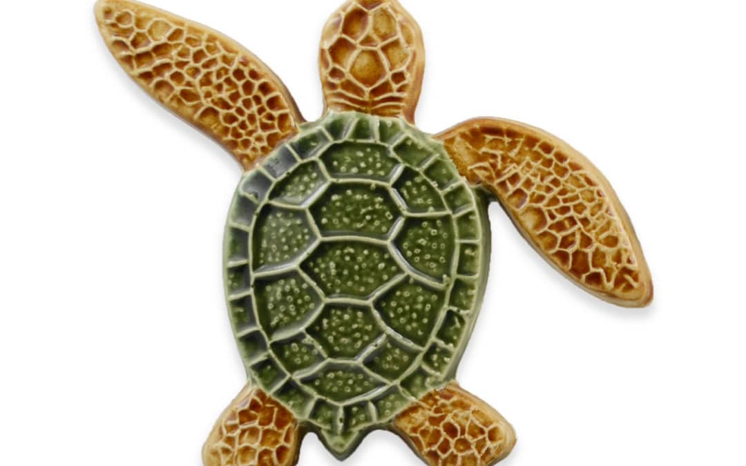 Turtle Left Up – Multi – 5×5