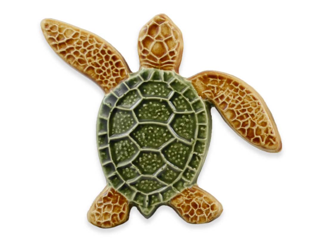 Turtle Left Up – Multi – 5×5