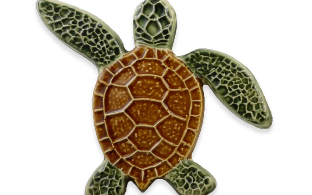 Turtle Left Up – Natural – 5×5