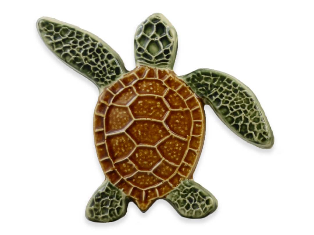 Turtle Left Up – Natural – 5×5