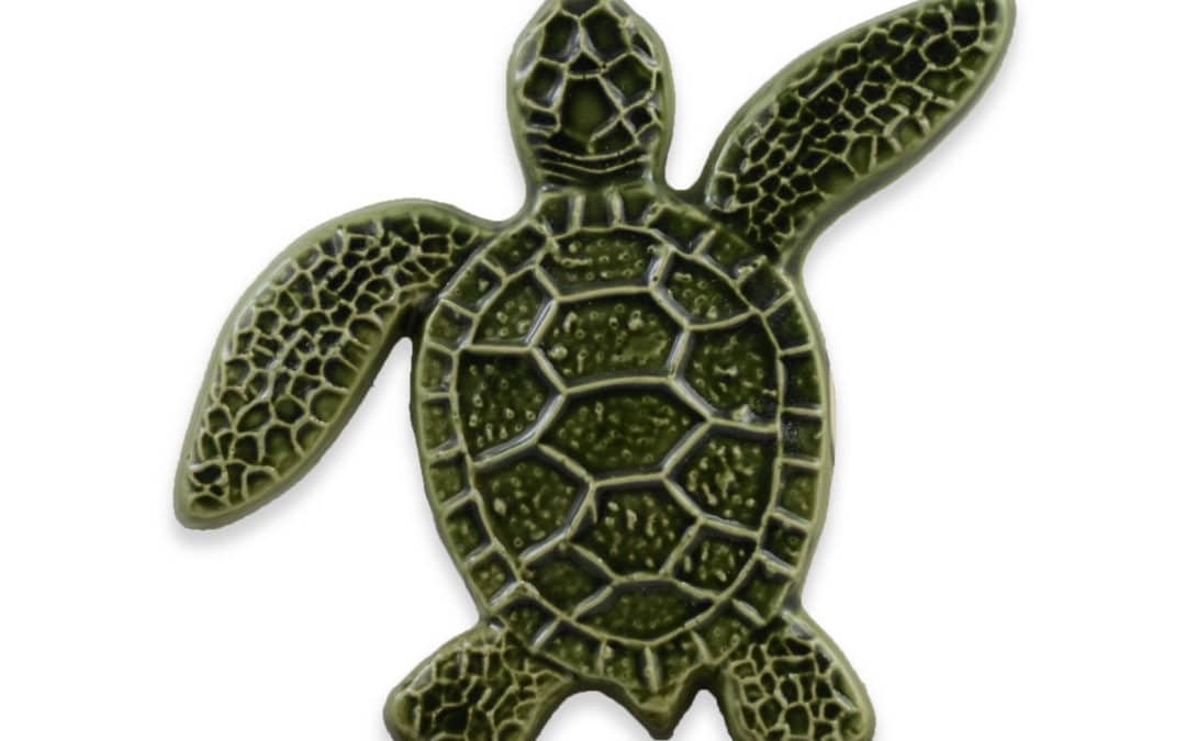 Turtle Right Up – Green – 5×5