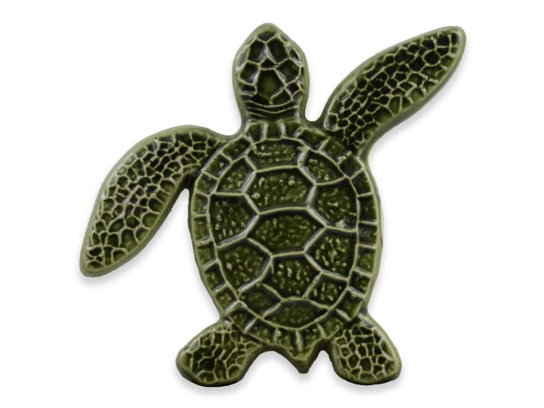 Turtle Right Up – Green – 5×5