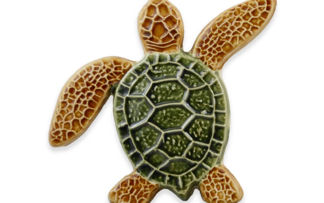 Turtle Right Up – Multi – 5×5
