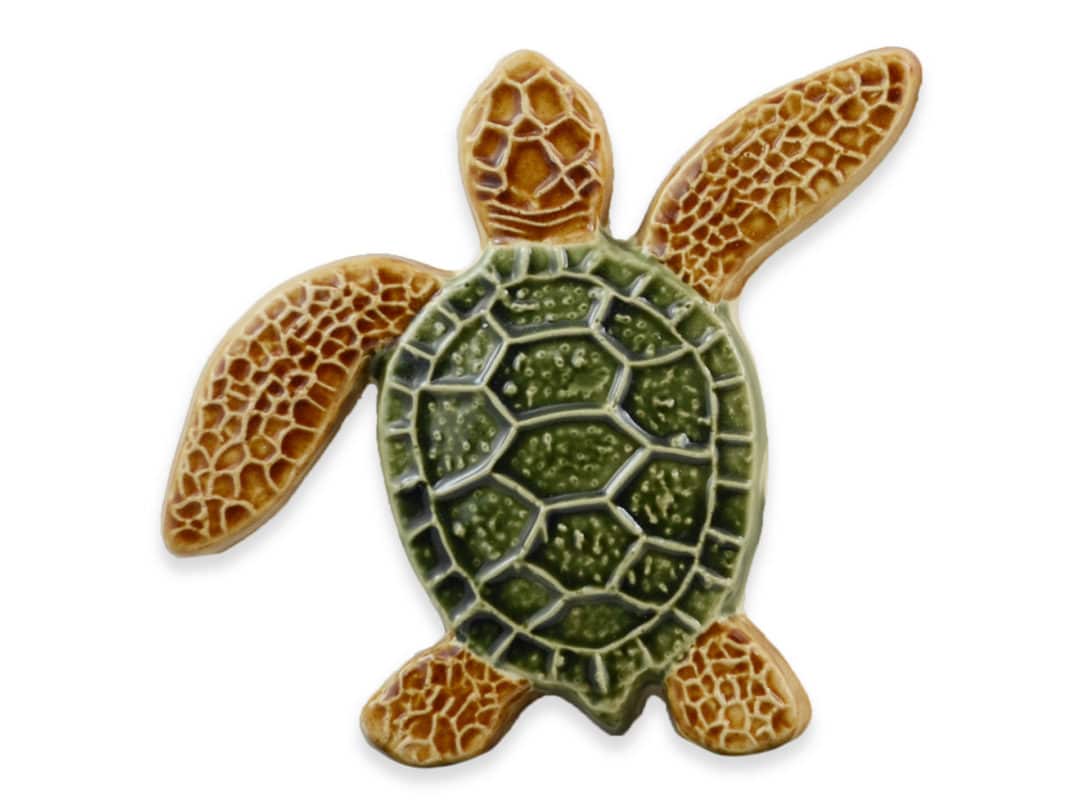 Turtle Right Up – Multi – 5×5