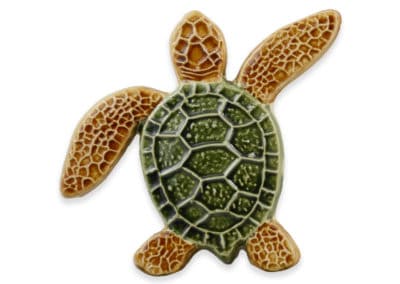 Turtle Right Up – Multi – 5×5