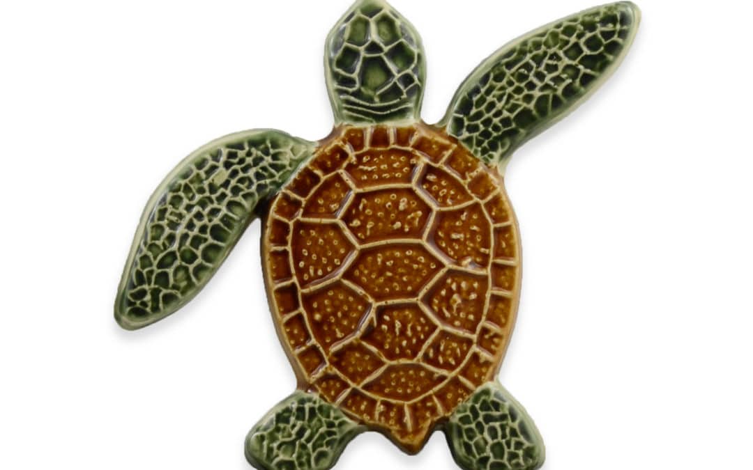 Turtle Right Up – Natural – 5×5