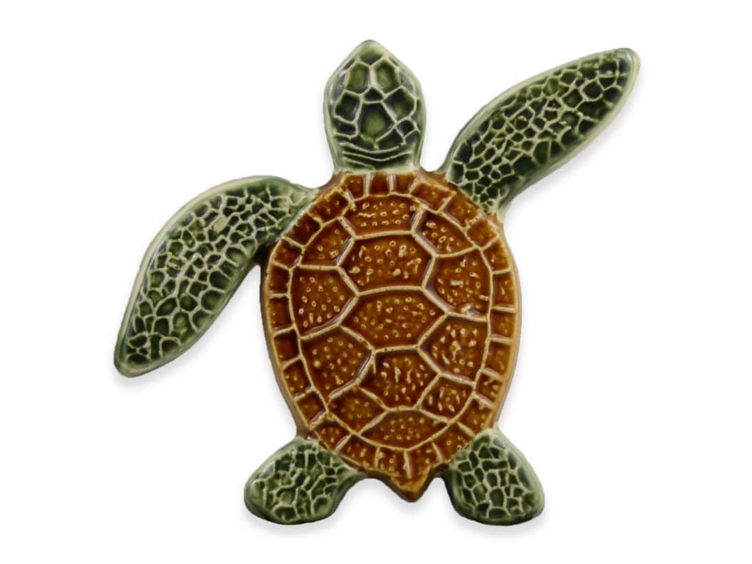 Turtle Right Up – Natural – 5×5