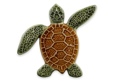 Turtle Right Up – Natural – 5×5