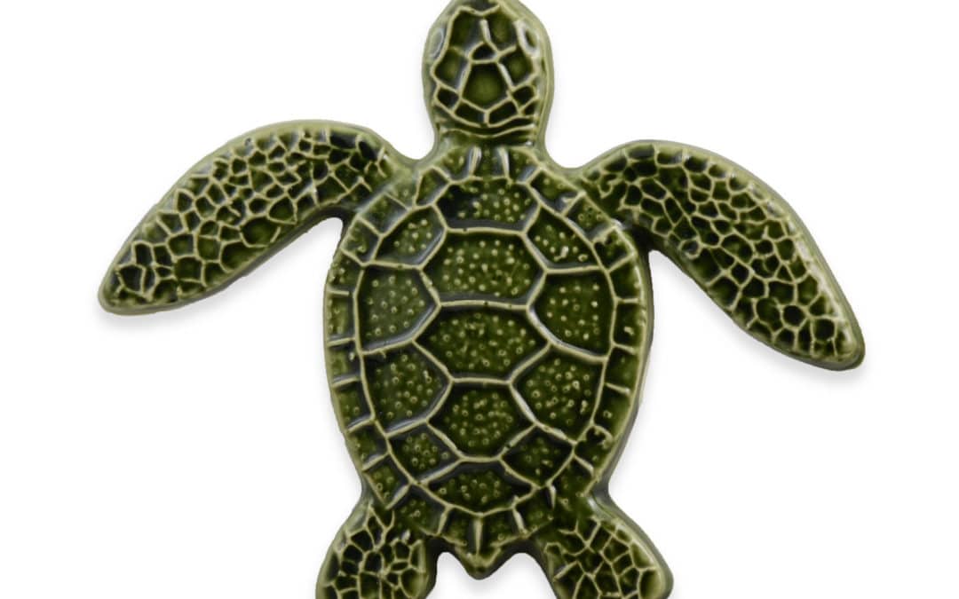 Turtle Straight – Green – 5×5