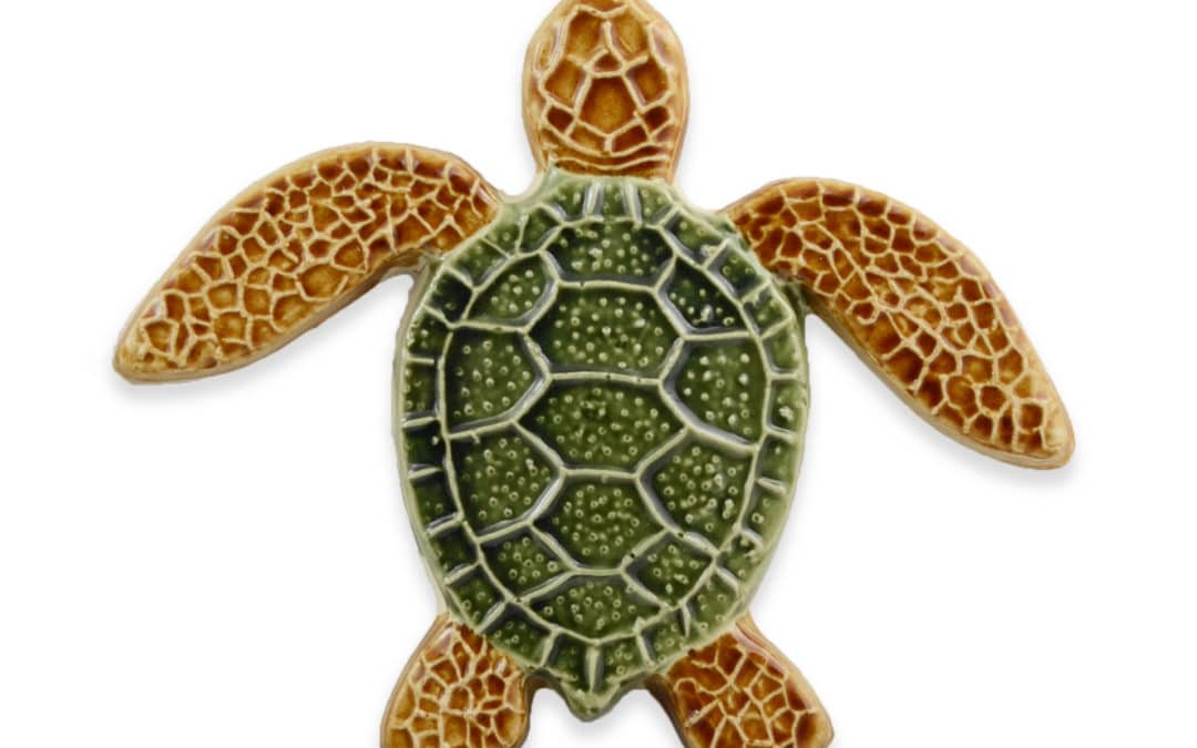 Turtle Straight – Multi – 5×5