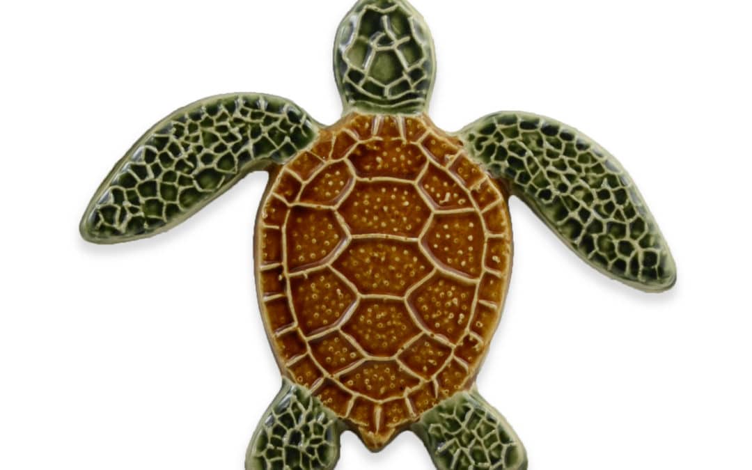 Turtle Straight – Natural – 5×5
