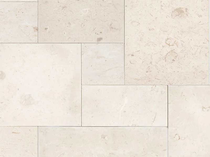 Shell Stone Collection