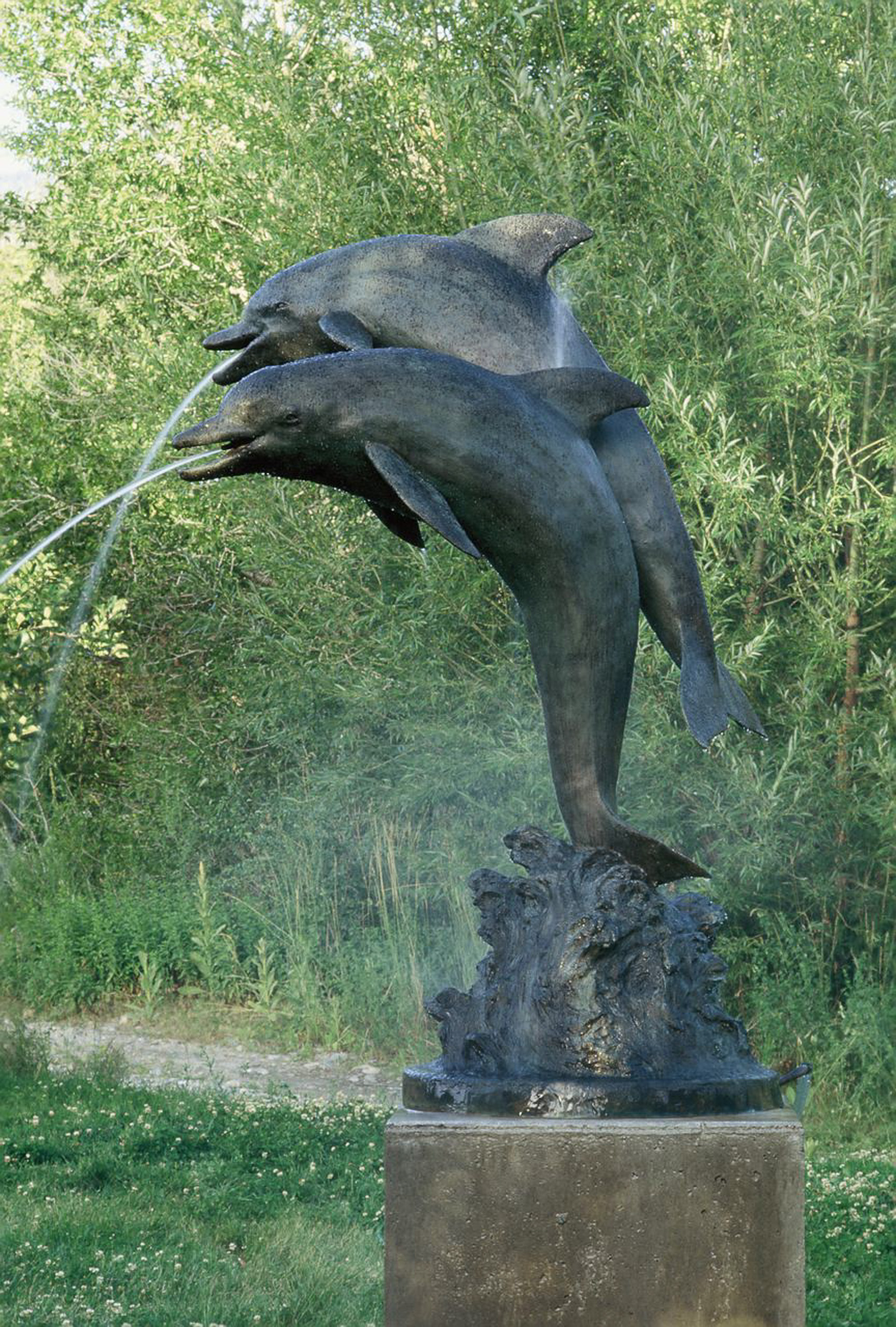 Dolphins