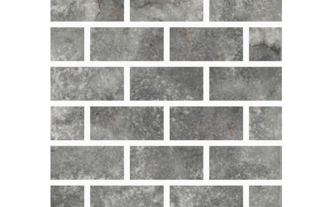 Rainforest – Congo 1×2