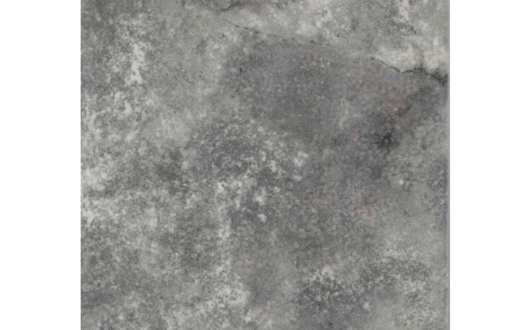 Rainforest – Congo 6×6