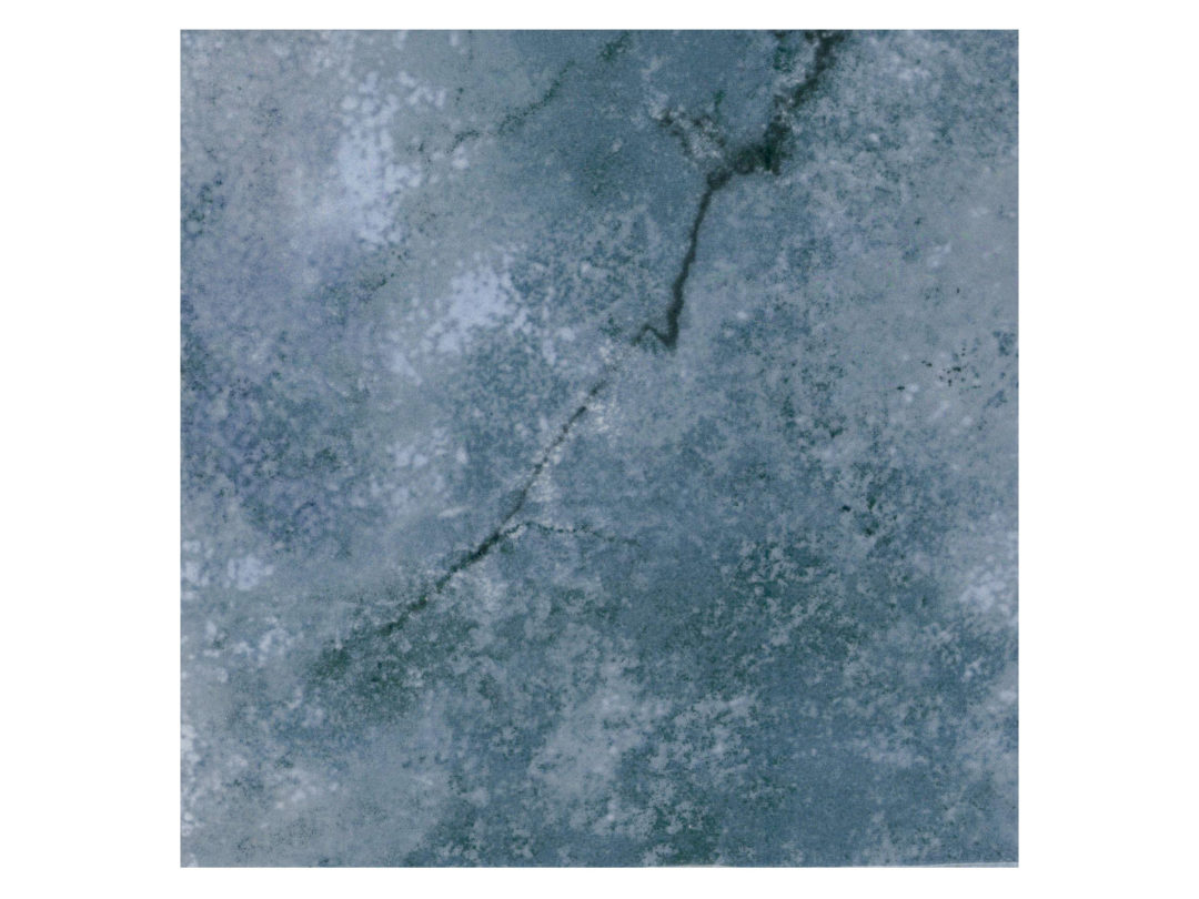 Rainforest – Olympic 6×6