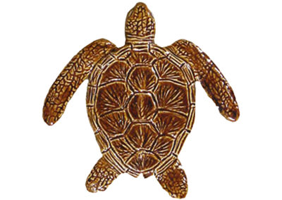 Loggerhead Turtle Brown – 6″ x 6″