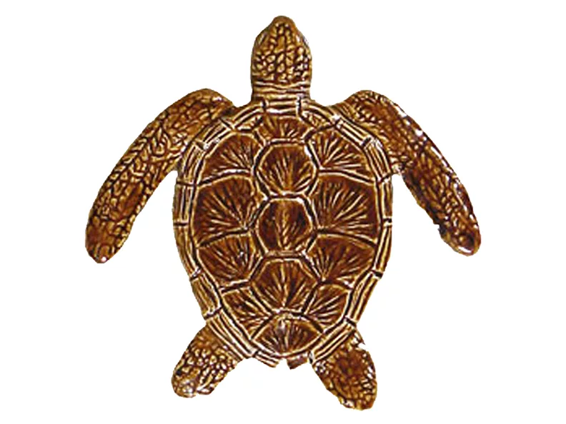 Loggerhead Turtle Brown – 6″ x 6″