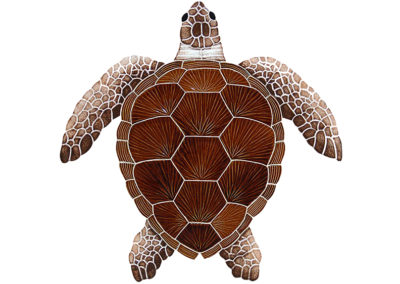 Loggerhead Turtle Brown – 20” x 20” / 15” x 15” / 8” x 8”