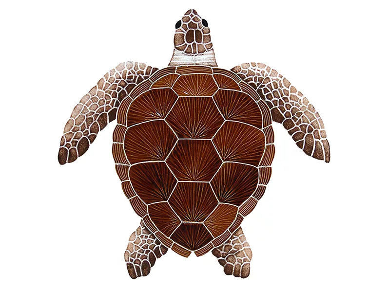 Loggerhead Turtle Brown – 20” x 20” / 15” x 15” / 8” x 8”
