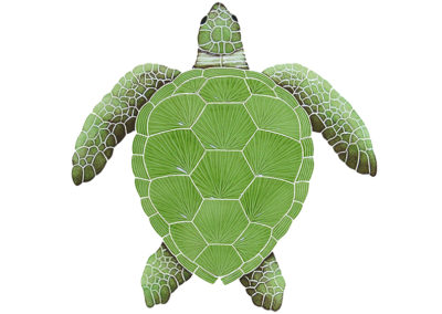Loggerhead Turtle Green – 20” x 20” / 15” x 15” / 8” x 8”