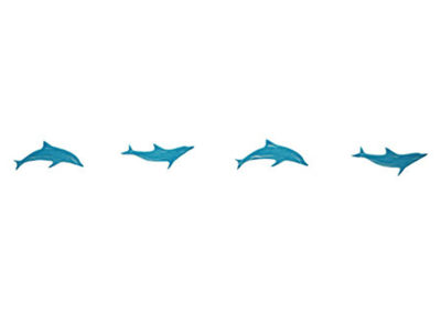 Dolphins Step Markers Aqua – 3” x 24”