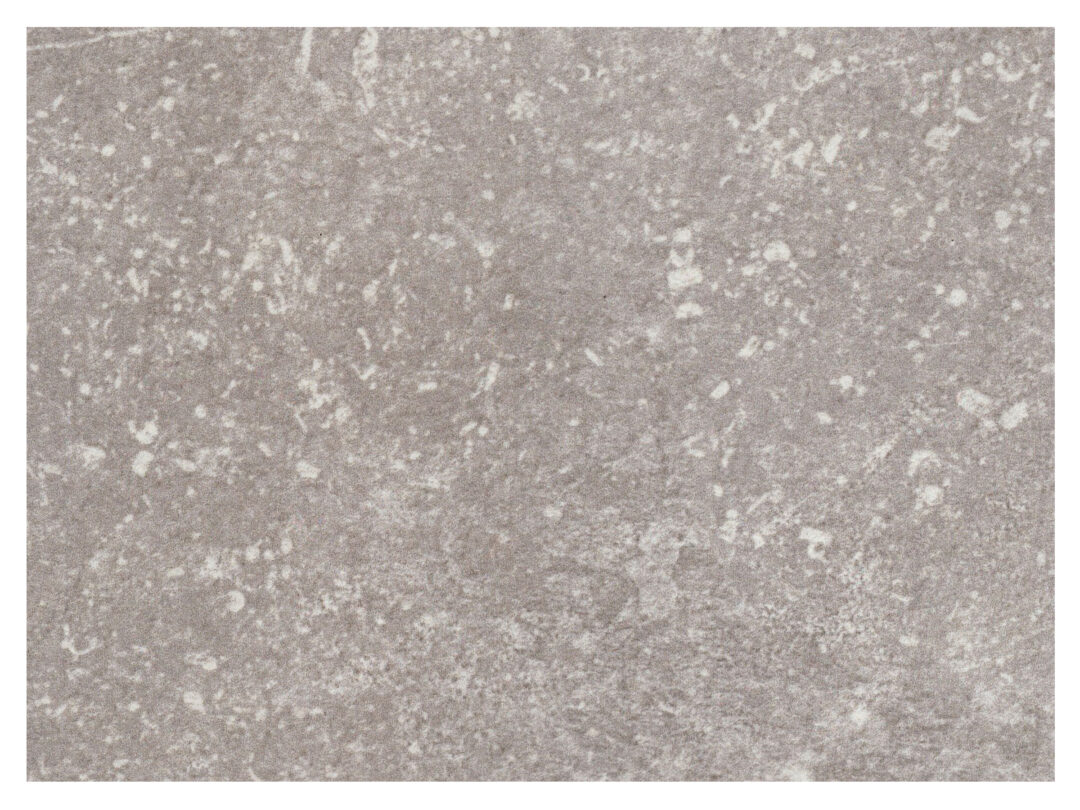 Stone Age – Moonstone 12×24