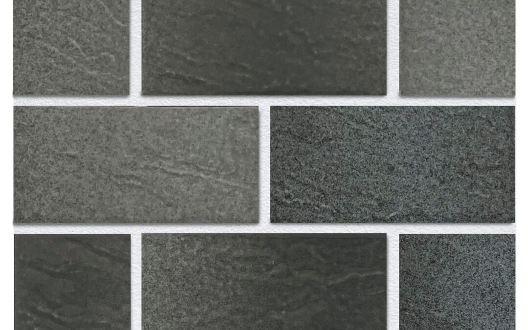 VG-2448 – REEF 2×4