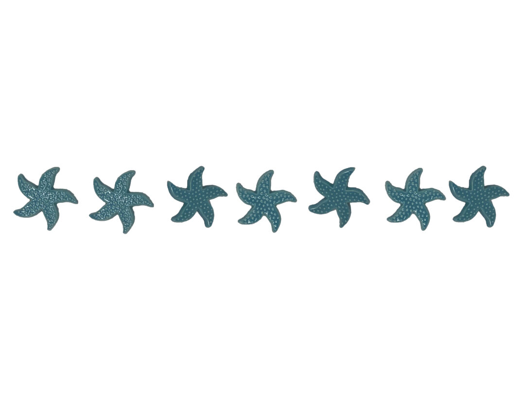 Starfish Step Marker – Aqua