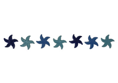 Starfish Step Marker – Multi
