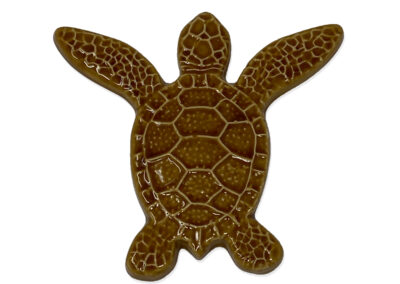 Turtle Both Up – Brown – 5×5