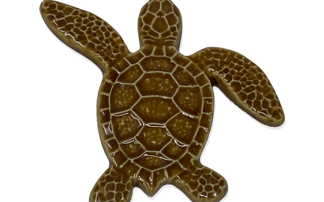 Turtle Left Up – Brown – 5×5