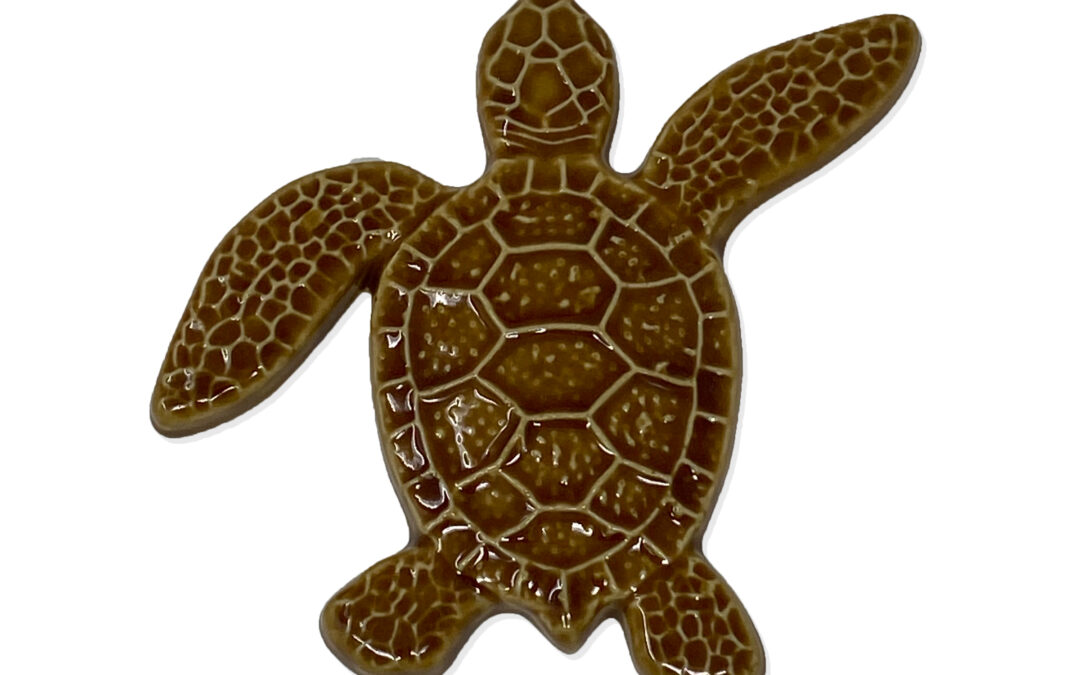 Turtle Right Up – Brown – 5×5