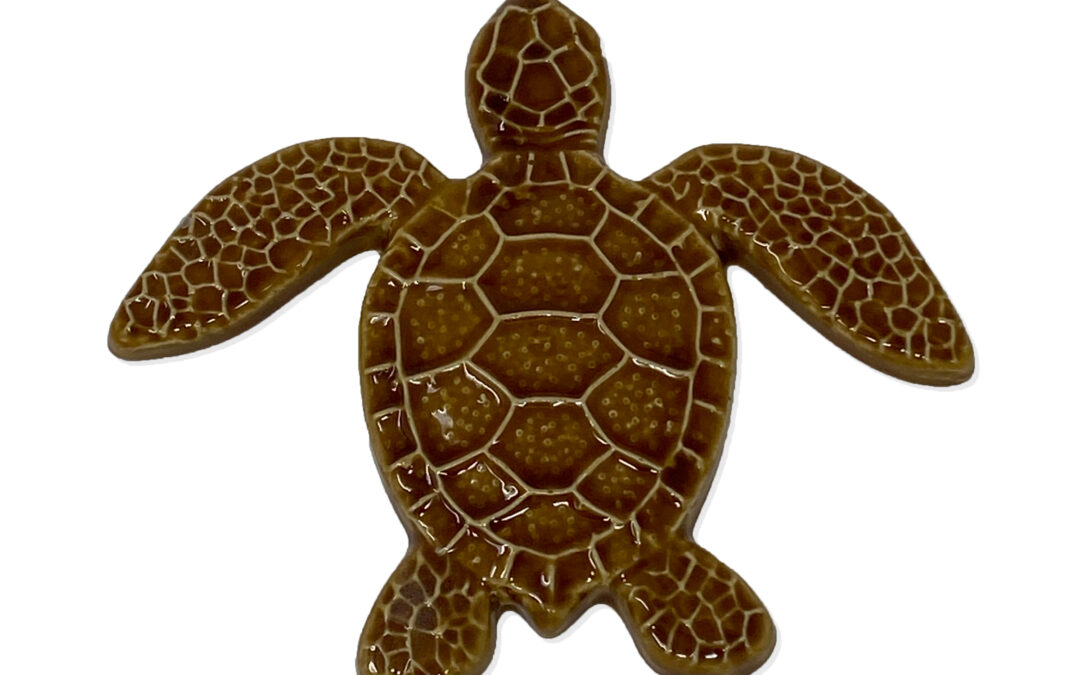 Turtle Straight – Brown – 5×5