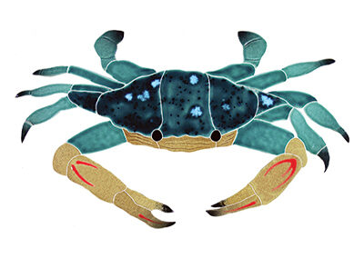 Blue Swimmer Crab – 7 in x 12 in