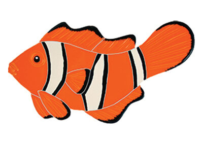 Clown Fish – Left – 5 in x 8 in