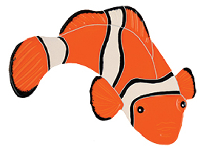 Clown Fish - Right - 5 in x 7 in - Aquabella