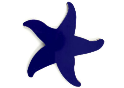 Cobalt Starfish – 5 in x 5 in
